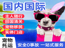 大庆萨尔图空运国际宠物托运 【国